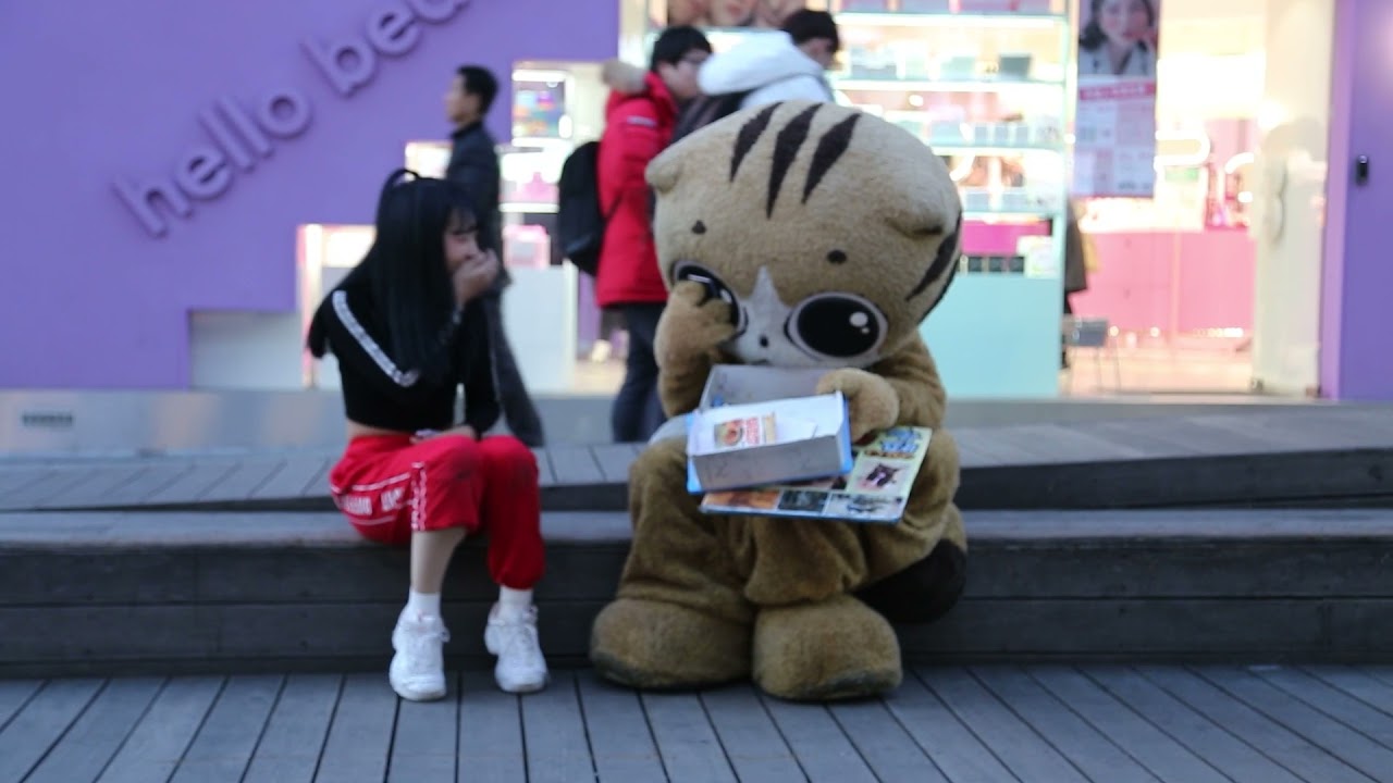 JHKTV] 신촌 명물고양이 내밑천 다드러나 shin chon special cat You can see my bottom.