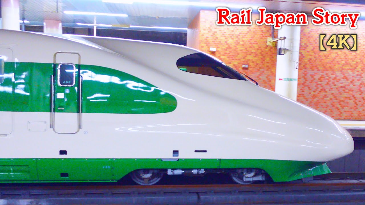 40th Anniversary old colored E2 Series Shinkansen coupled with E3 Series, Ueno Station | Train Japan