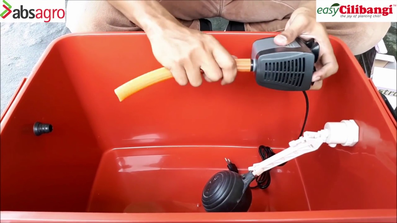 Langkah langkah Bina DIY Mini Fertigasi (set tangki)