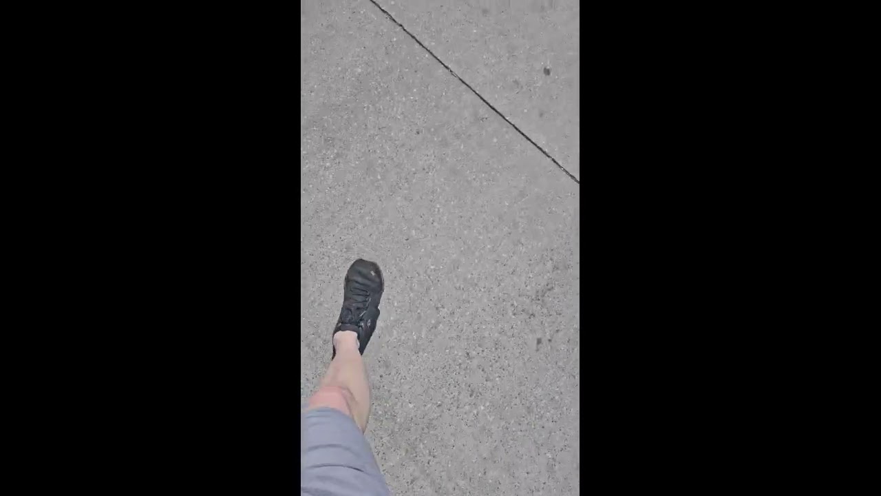 Sneezes Caught in the Wild - Supercut (M)