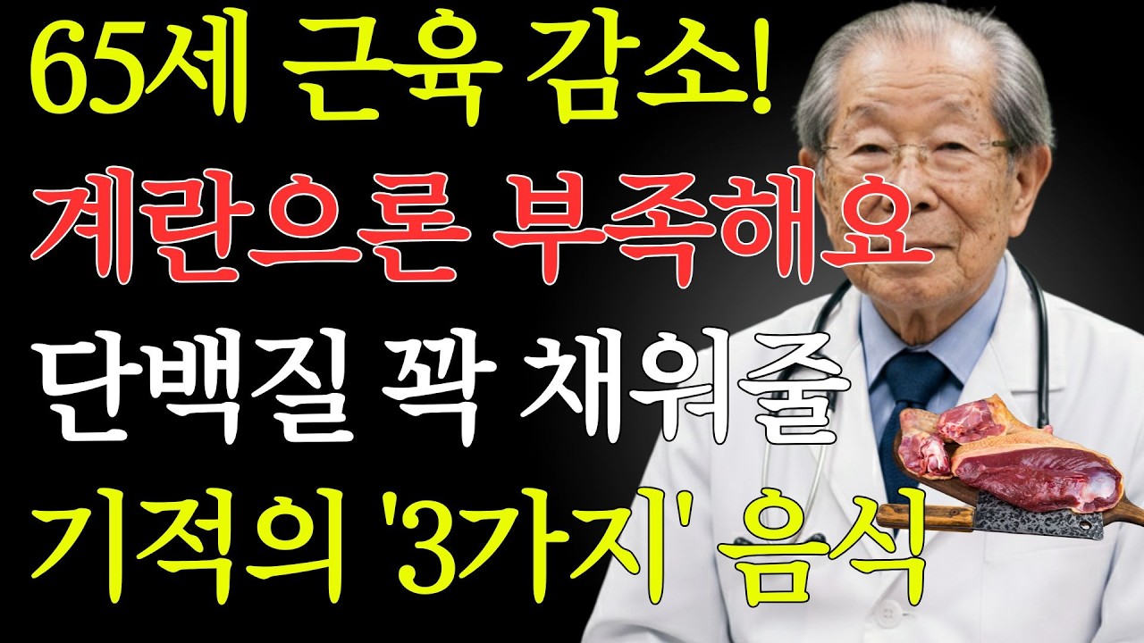 65세 이후 근육 급감! 계란으로 채우는 단백질 부족 해결법 | 노후건강