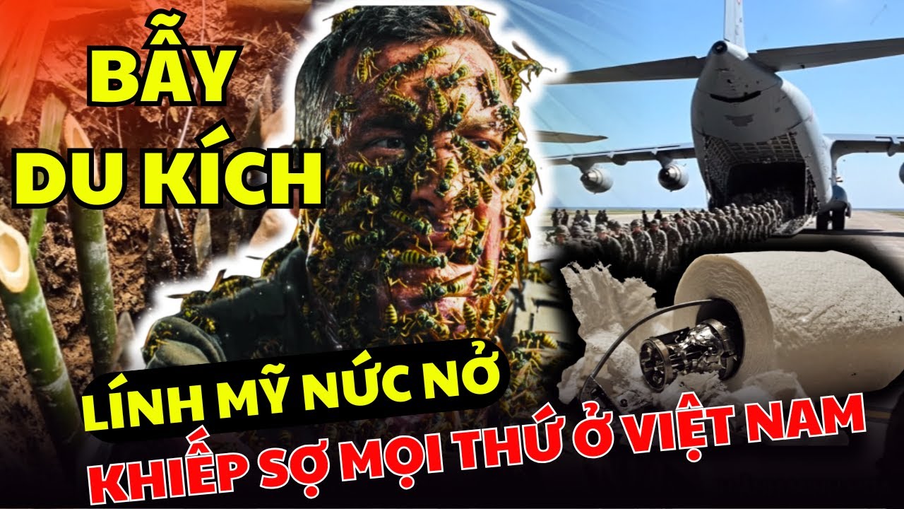 Lính Mỹ Nức Nở Hồi Ức Ở Việt Nam – Sợ Hãi Từ Tổ Ong, Bình Nước , Bật Lửa Đến Giấy Vệ Sinh