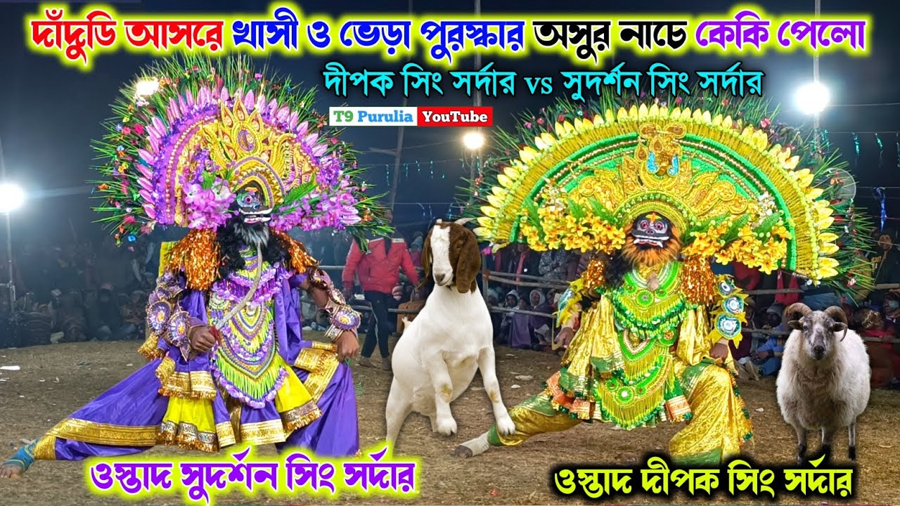 দাঁদুডি আসরে খাসী ও ভেড়া পুরস্কার অসুর নাচে কেকি পেলো 🔥 Dipak Sing Sardar vs Sudarshan Sing Sardar