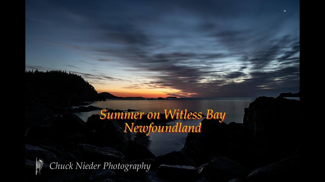 Summer on Witless Bay