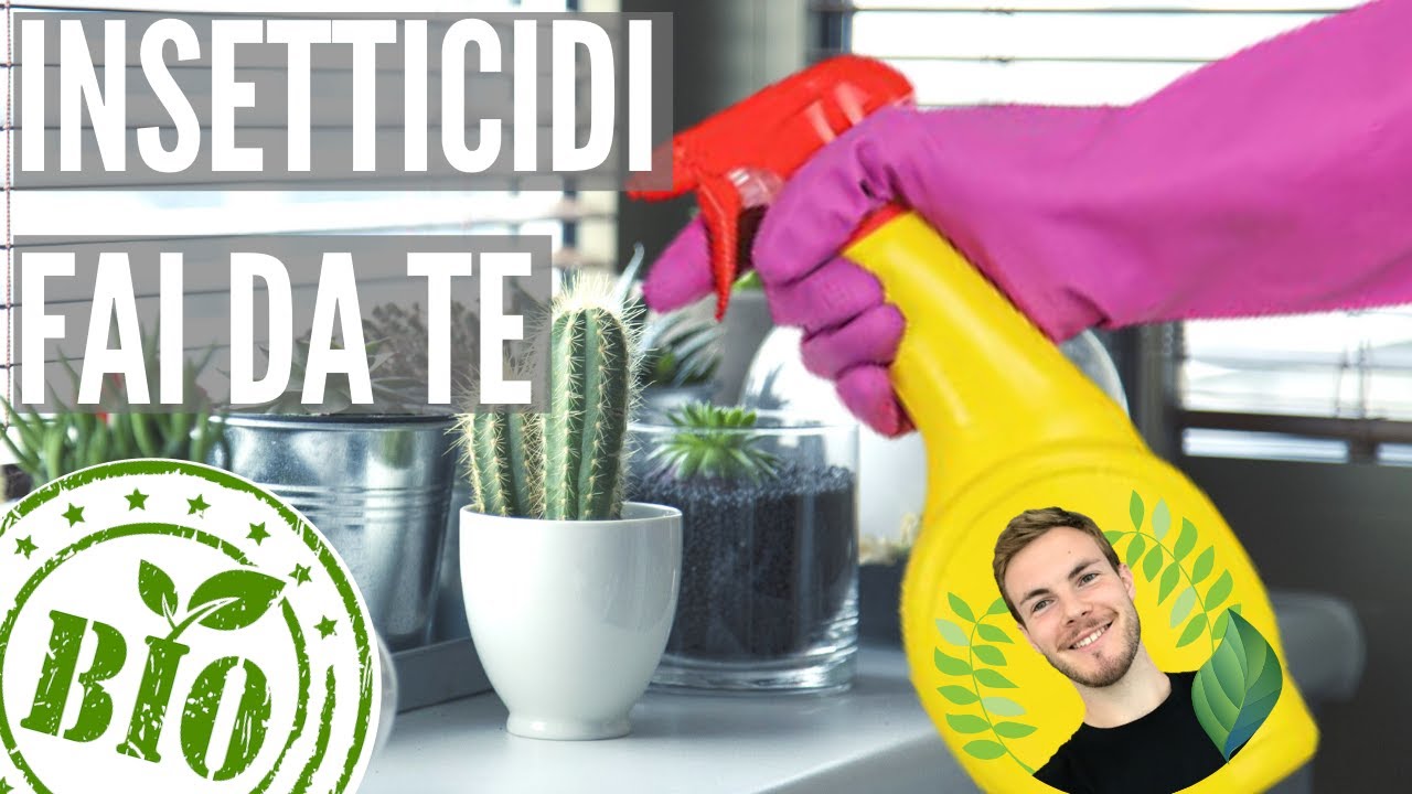 ELIMINA MOSCERINI E ALTRI INSETTI - RICETTE BIO
