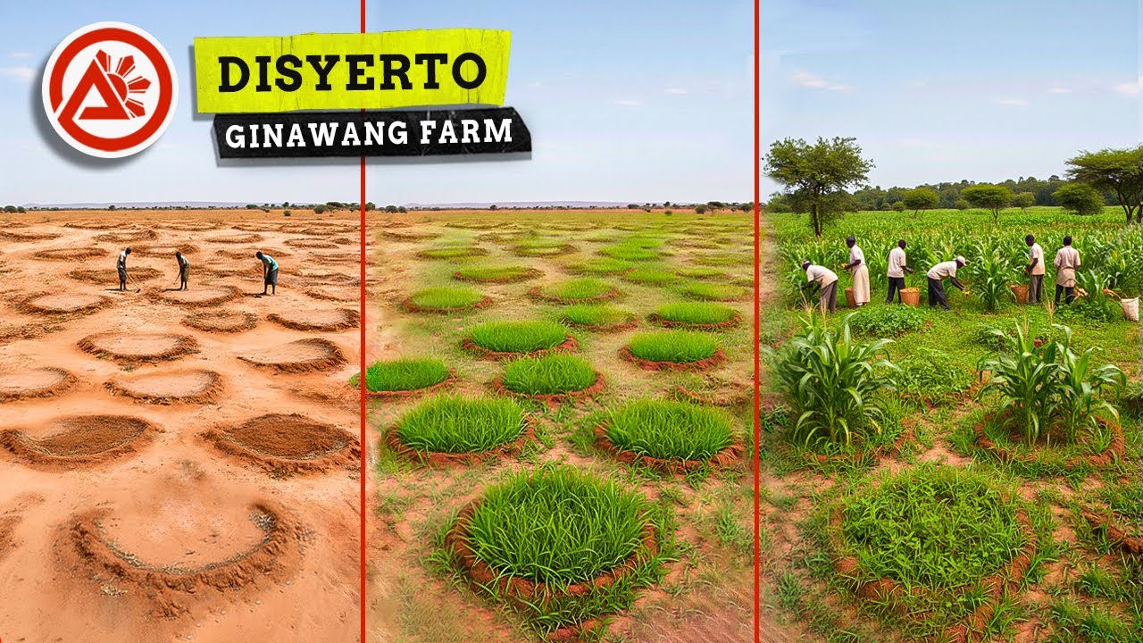 Ano kaya itong maraming hugis kaliskis sa lupa?