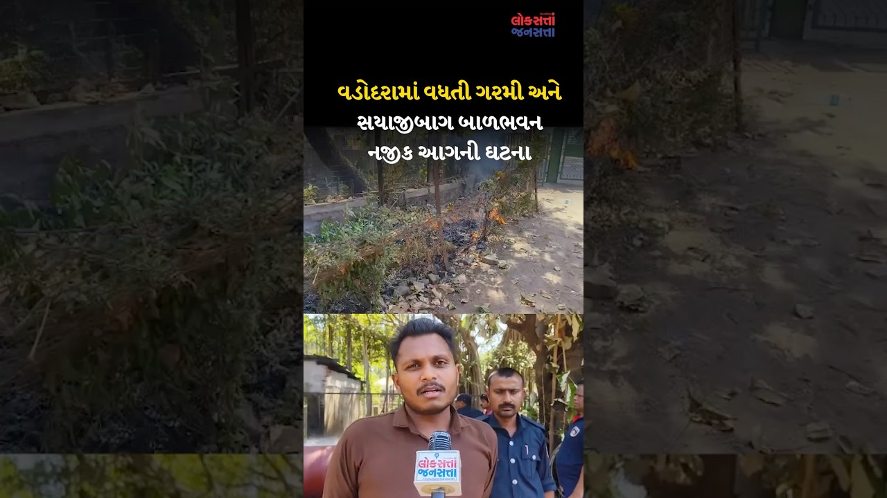 વડોદરામાં વધતી ગરમી અને સયાજીબાગ બાળભવન નજીક આગની ઘટના