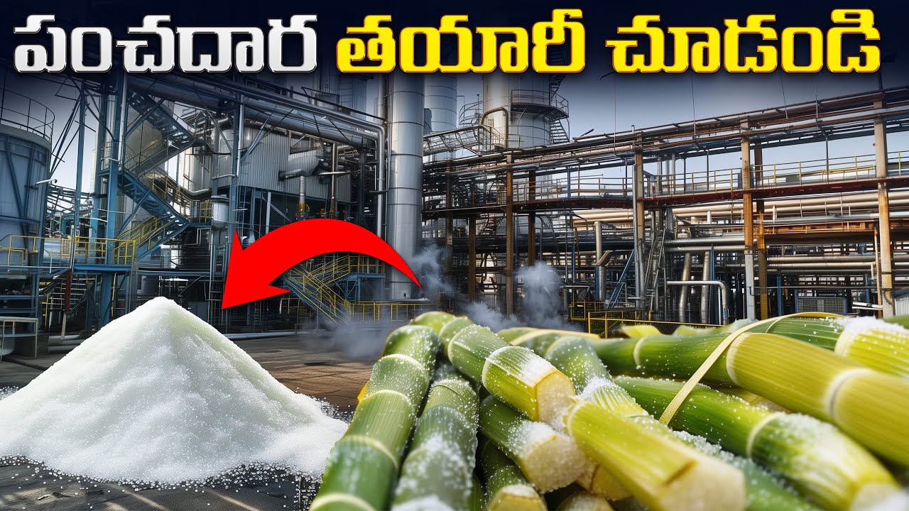 ఫ్యాక్టరీలో పంచదారను ఎలా తయారు చేస్తారు? | How Sugar is Made in Factory?