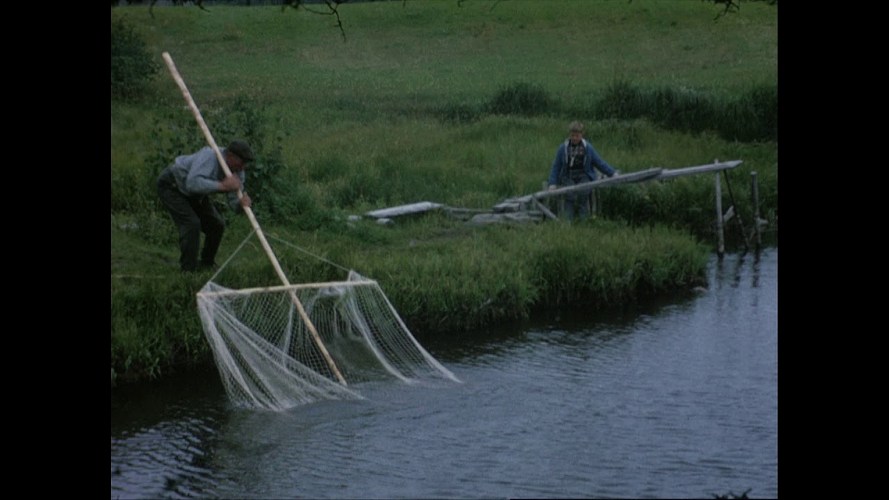 Fiske med håvar i Malax (1964)