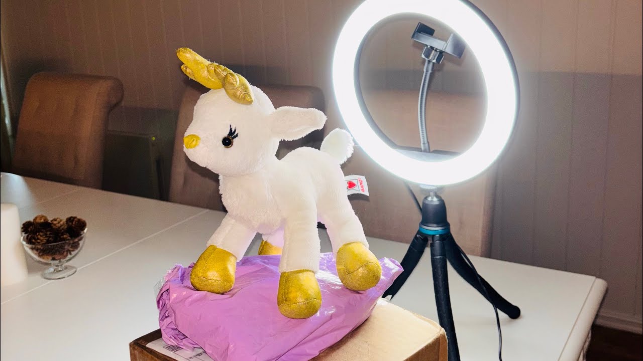 Webkinz *holy GRAIL * unboxing 