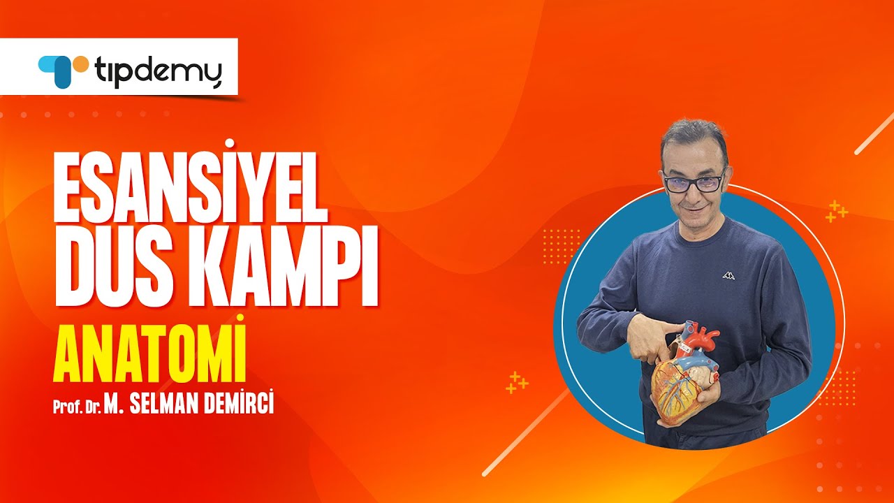 Esansiyel DUS Kampı 2025 | Anatomi Dersi | Prof. Dr. Selman Demirci ile &Uuml;cretsiz Online Eğitim