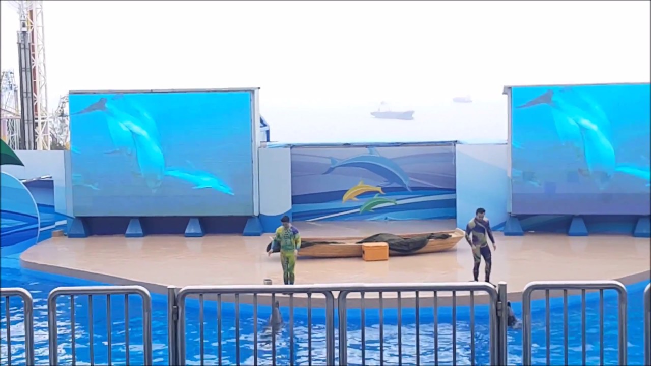 Ocean Park Hong Kong Ocean Theatre- Ocean Wonders