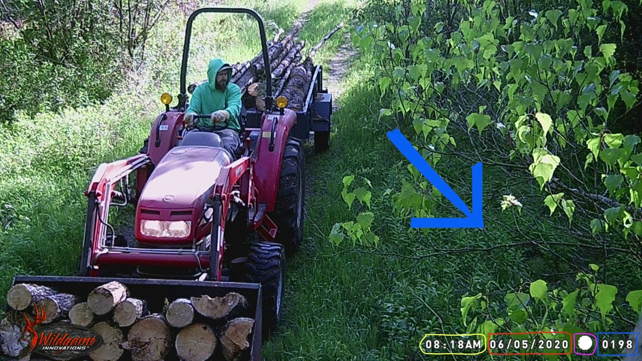 Caméra de chasse : Utile ou Futile ?