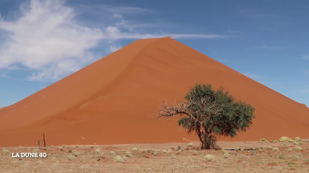 VOYAGE NAMIBIE 2025 : Sesriem - D&eacute;sert Namib - Sossusvlei - Big Dady - Deadvlei   Tsauchab - Jour 9