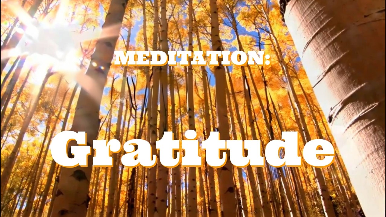 Meditation: Gratitude