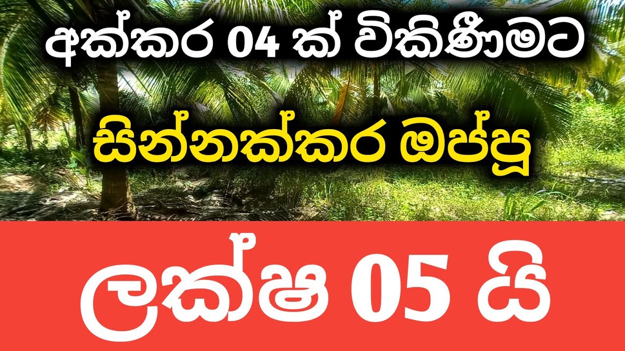 සින්නක්කර අක්කර 4 යි ලක්ෂ 5 | idam lanka | Sinnakkara Deeds 4 Acer | අඩුවට ඉඩම්