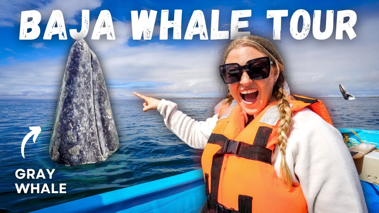 I KISSED A WHALE! (incredible whale encounter)