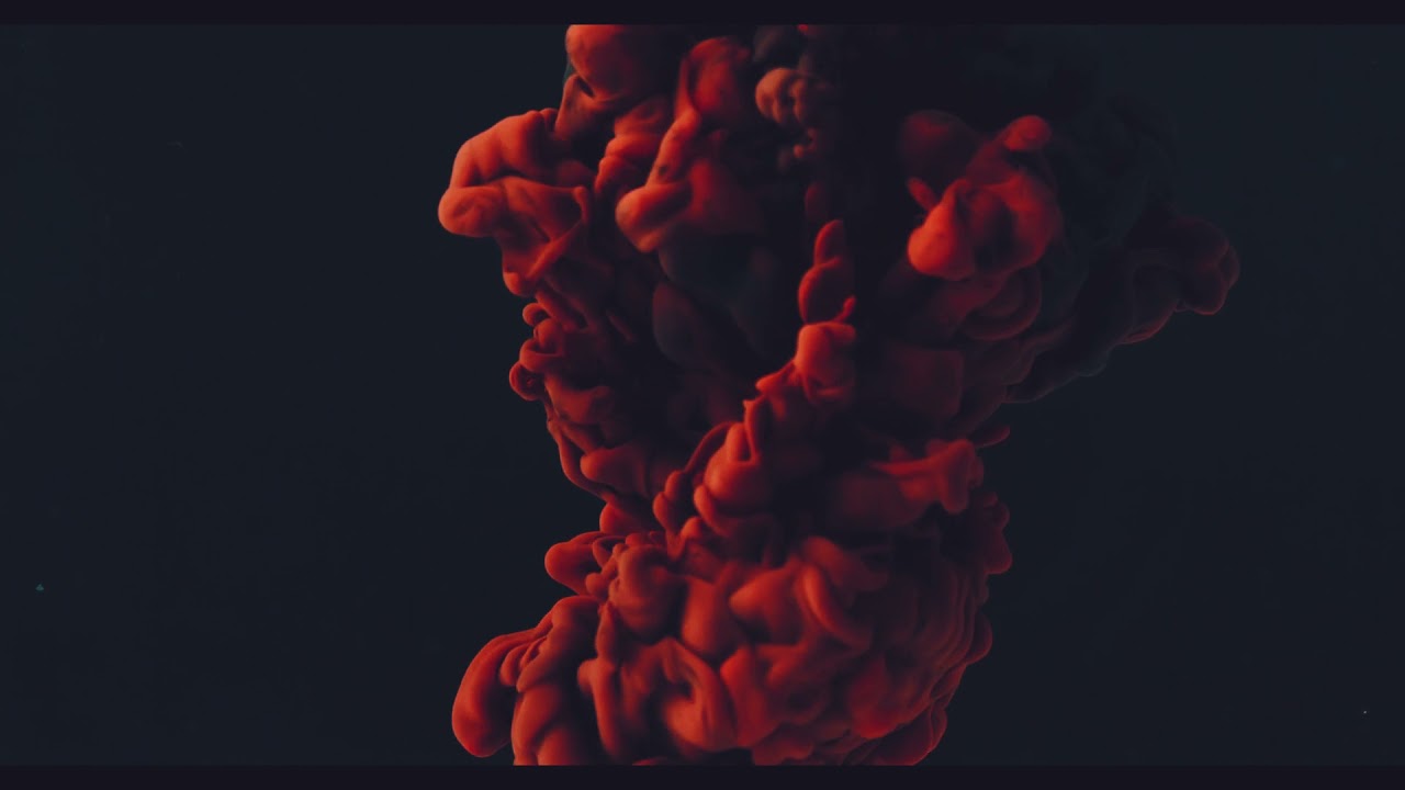 Slowshine - Living Light (Official Video)