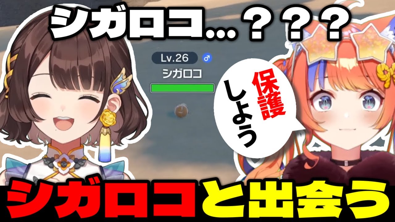 大好きな先輩に名前がよく似たポケモンに出会う猫屋敷美紅【にじさんじ切り抜き/猫屋敷美紅/司賀りこ/#ねこやしきりぬき】