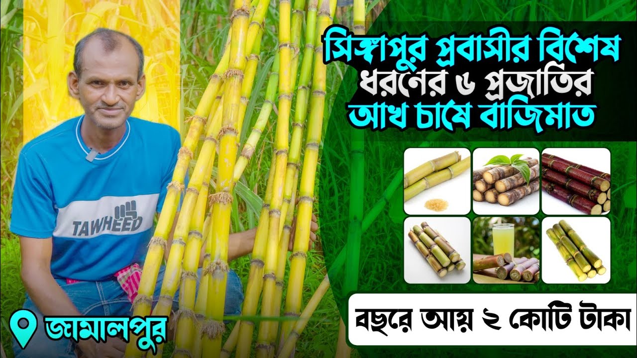 বিশেষ ধরনের ৬ প্রজাতির আখ চাষে প্রবাসী কোটিপতি | আখ চাষ পদ্ধতি | গেন্ডারি চাষ | Akh Cash