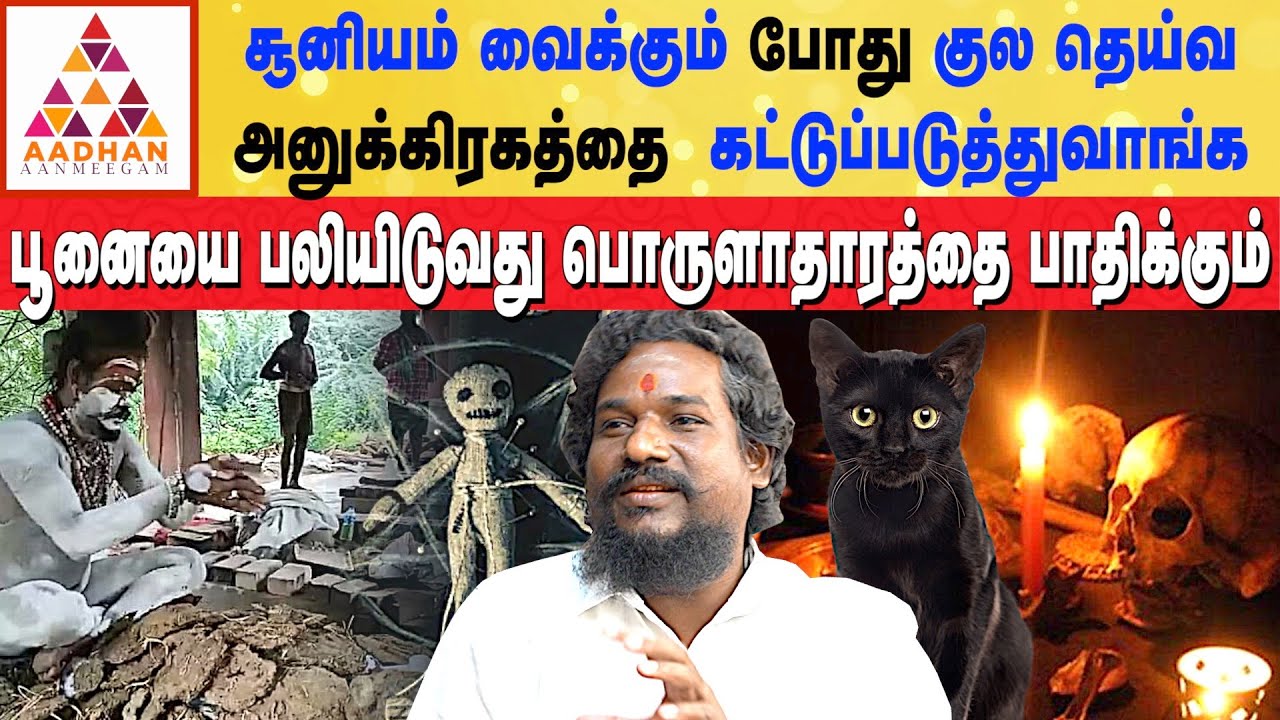 பூனையை பலியிடுவது பொருளாதாரத்தை பாதிக்கும் | #blackmagic | Chandra Kumar | Aadhan Aanmeegam