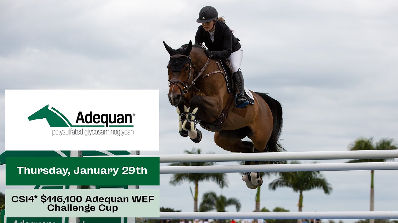 Watch Live: CSI4* $116,100 Adequan WEF Challenge Cup