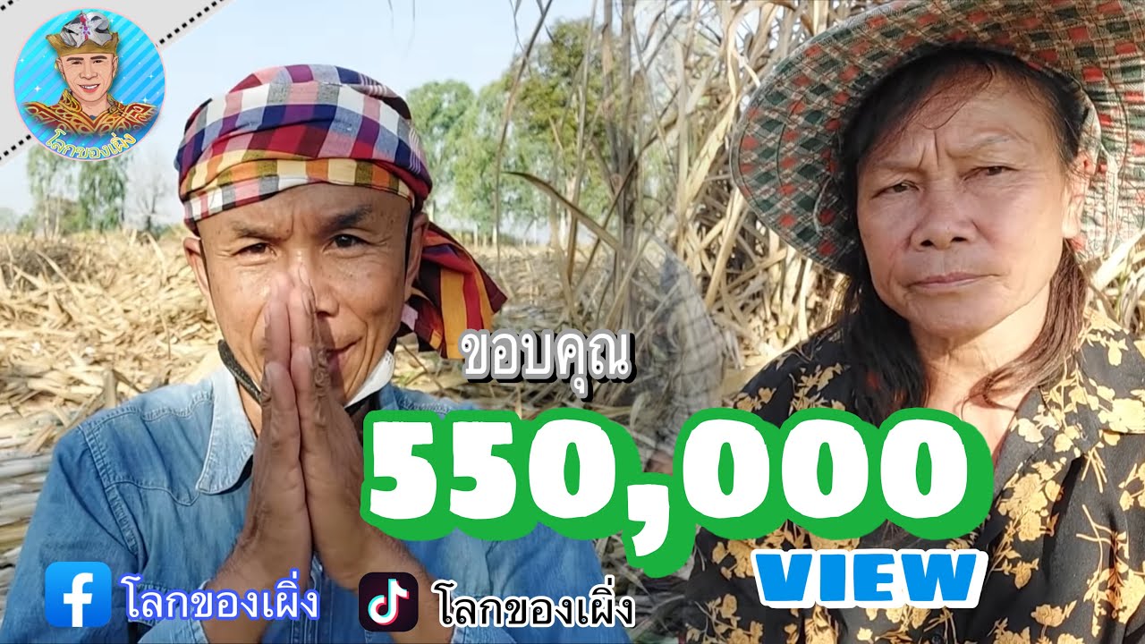 นางเอกหมอลำมาตัดอ้อยเสียงนี้หาไผเทียบบ่ได้เลย@โลกของเผิ่ง