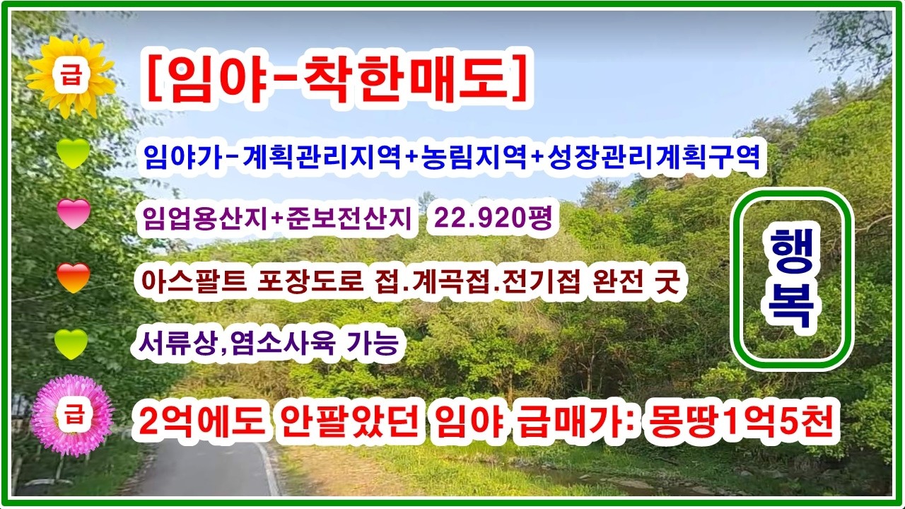 *계곡물철철*아스팔트포장도로접*전기접*낮은경사도 너무멋진청정지역의 임야 22.920평 시세대비 정말 착한가격