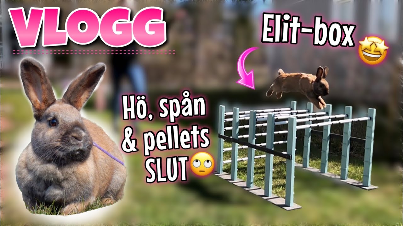 Vlogg~ Ines testar ELIT