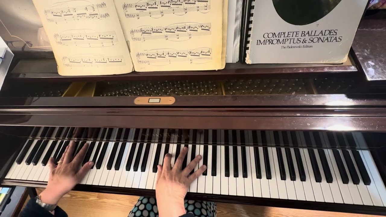 Benita Rose/ Chopin Etude Op.10, No.6
