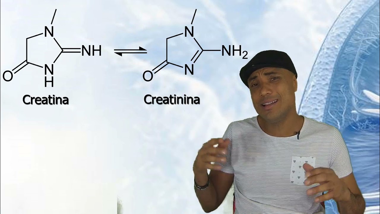 UREIA E CREATININA - MARCADORES DA FUNÇÃO RENAL - UREMIA
