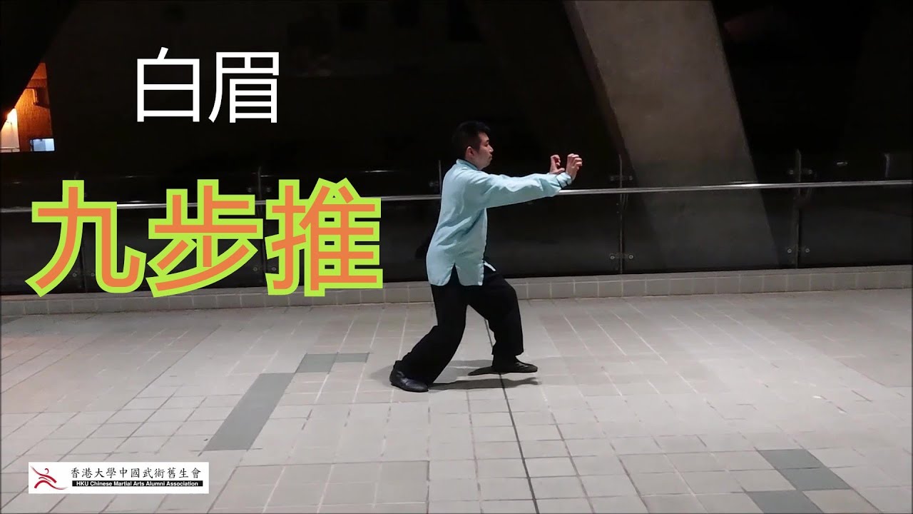 Bak Mei: Jiu Bu Tui (9 Steps Push) 白眉派: 九步推