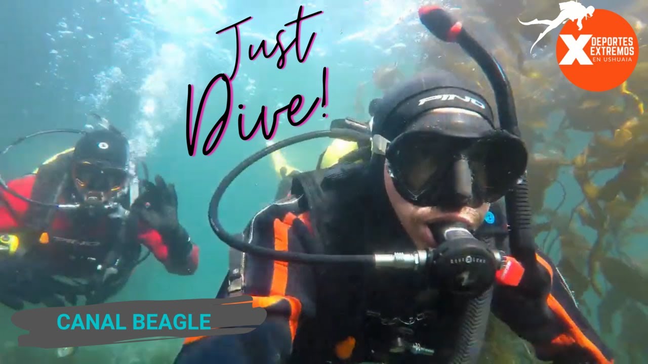 BUCEO con TRAJE SECO 🤿 Mirá el PASO a PASO | Canal Beagle | Ushuaia 🦀 GoPro Argentina 📸
