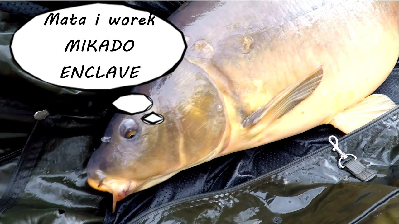 Karpie 2020 - Mata i worek Mikado Enclave - nowości 2021