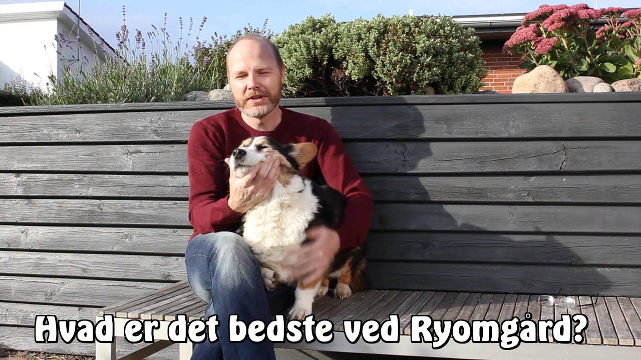 Ryomgaard - Ny i byen