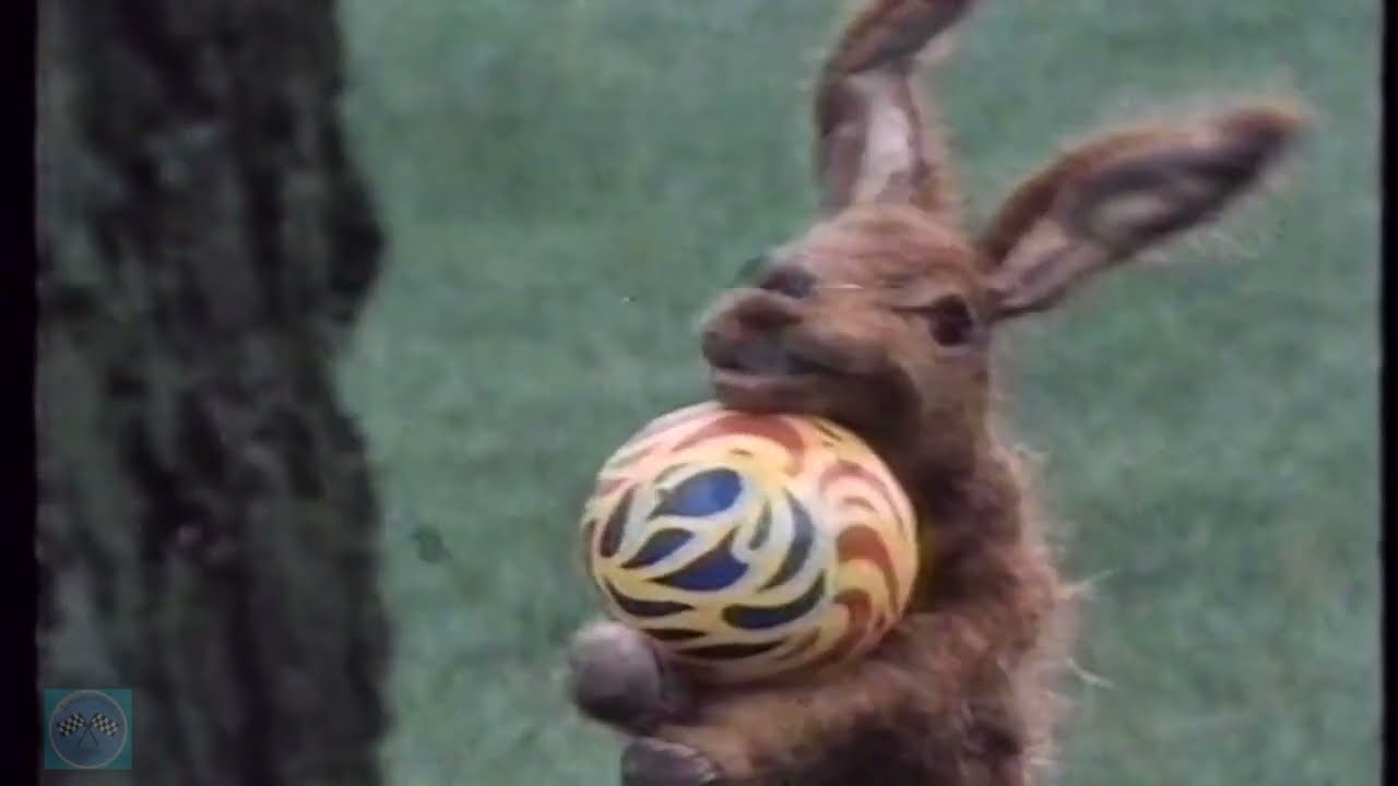 Pipkins - SE 14 - EP 47 -  Cheering Up Tortoise  -17 November 1981  -  Entertainment Pitstop