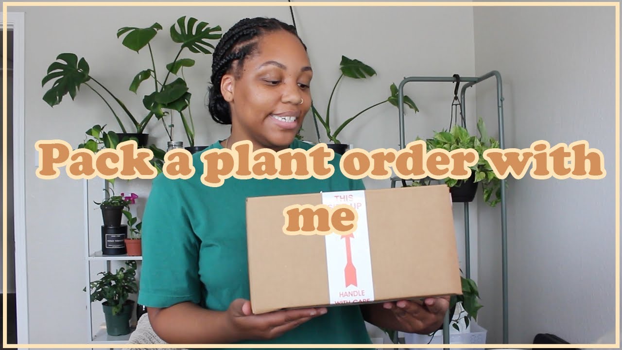 How To Package Houseplant Cuttings for Shipping! | How I package houseplants for my online store