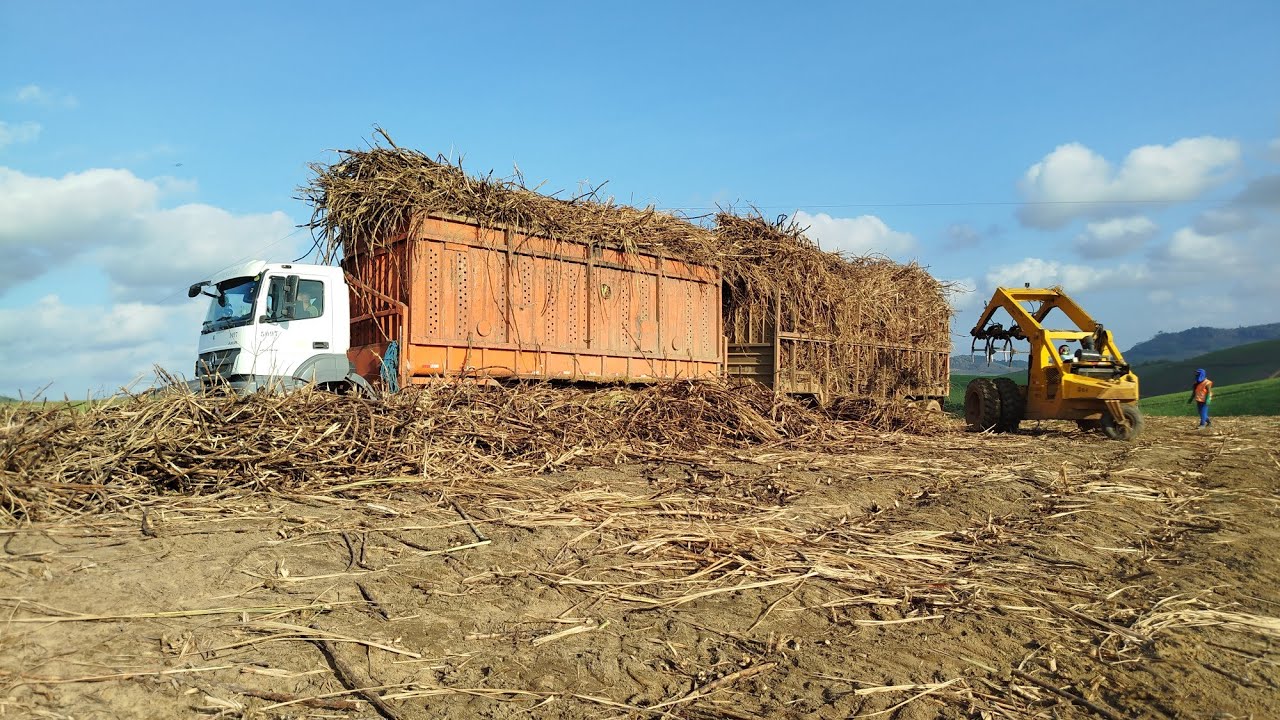 Carregamento De Cana De Açúcar Engenho Três Braços Usina JB