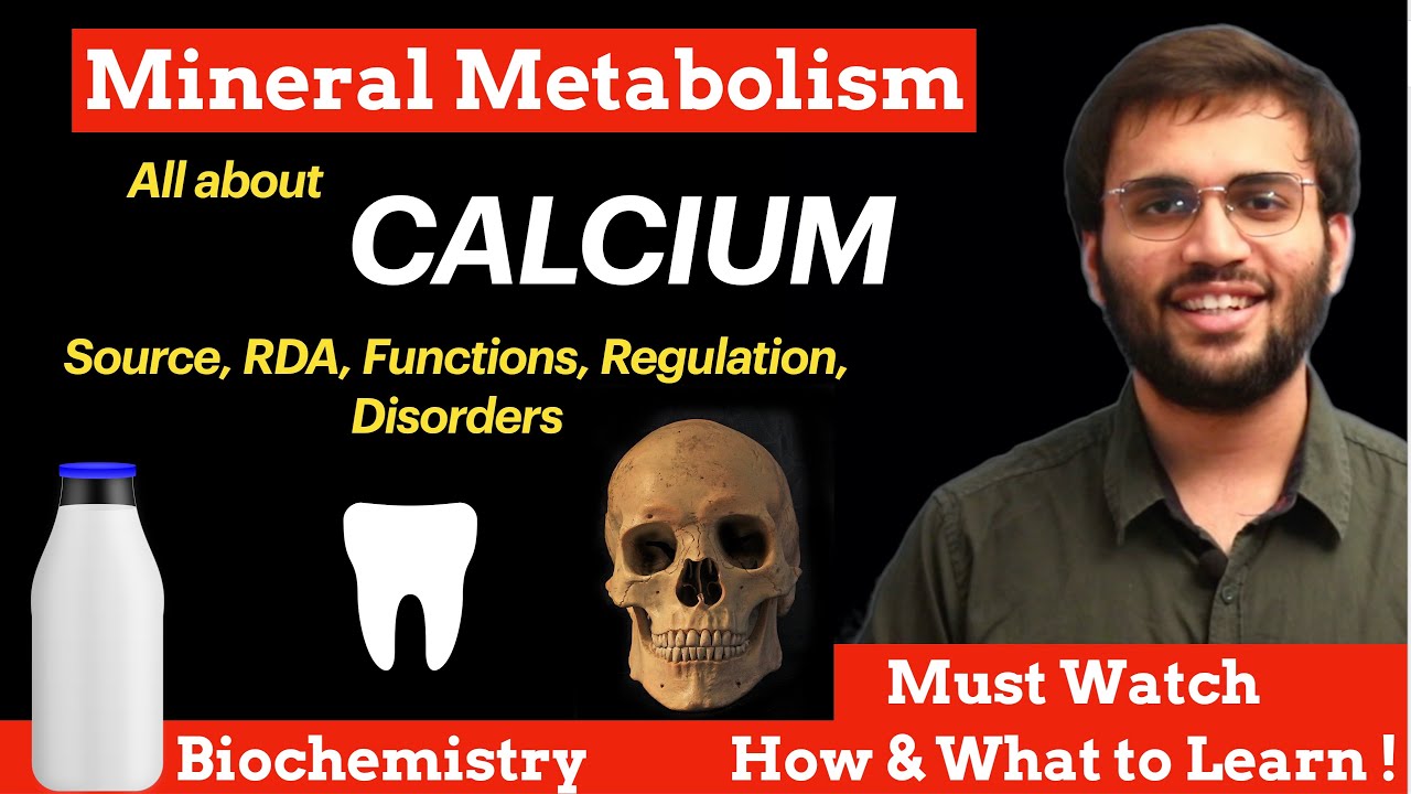 Calcium - Mineral Metabolism Biochemistry | Sources, Functions, Deficiency | Minerals