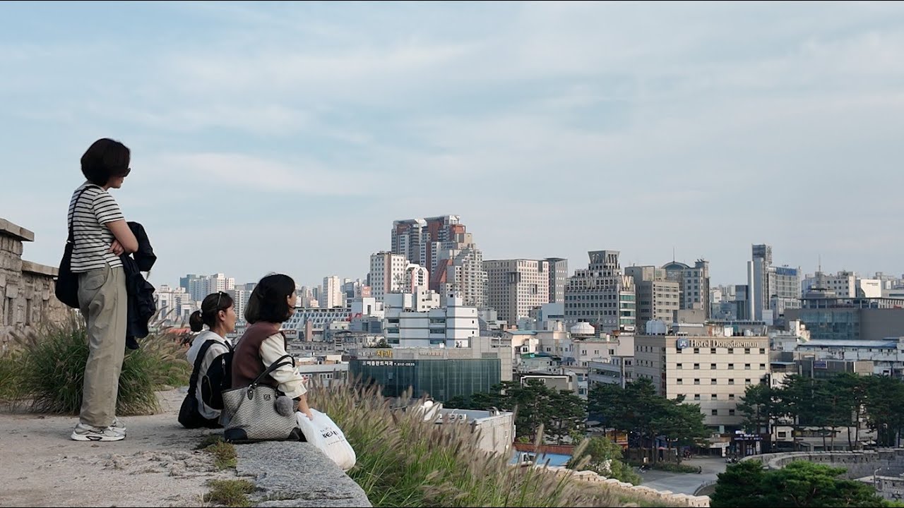 north korea + meerkats || week 4 vlog
