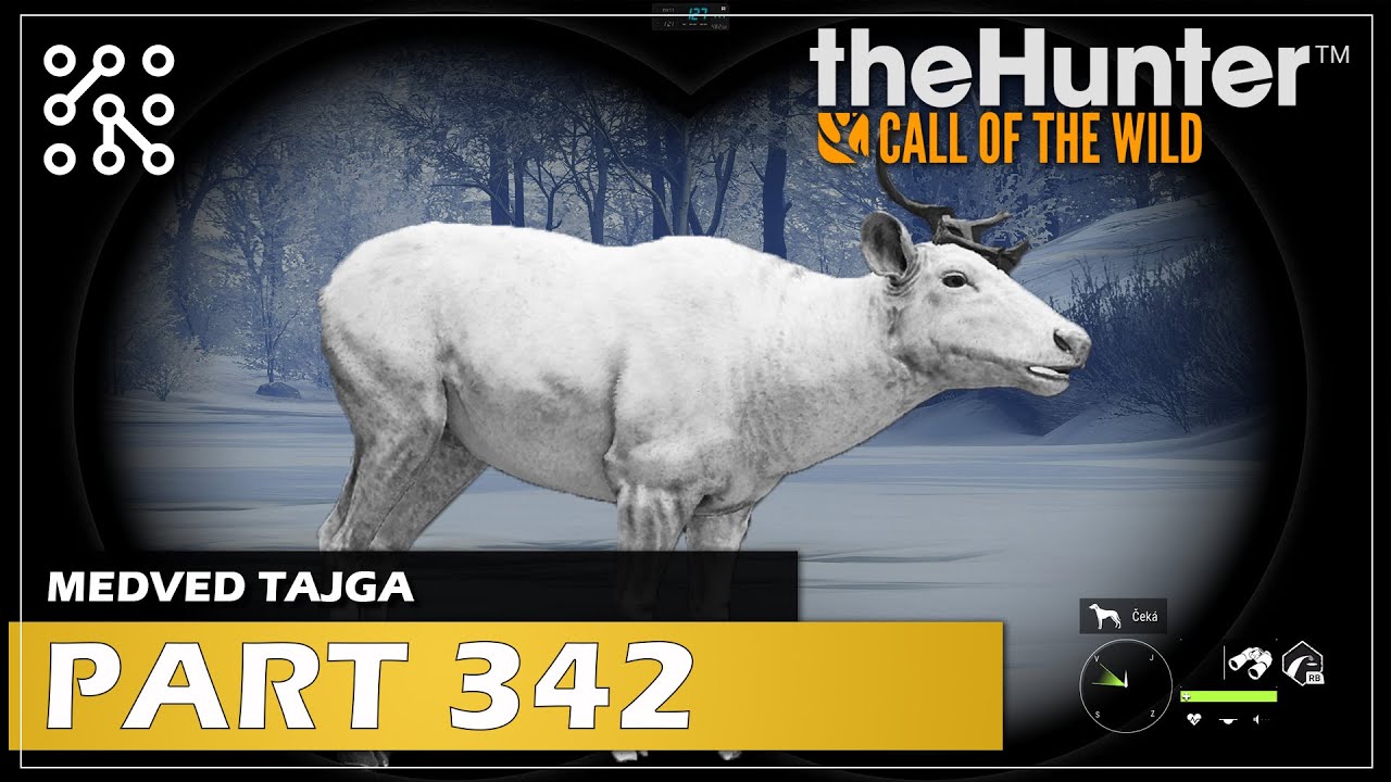 Trofeje do m&eacute; nov&eacute; trofejn&iacute; budovy  EP342  | The Hunter: Call of the wild  |  Česky