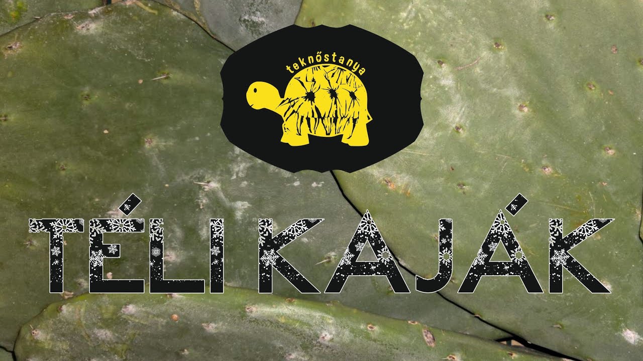 Téli kaják :)
