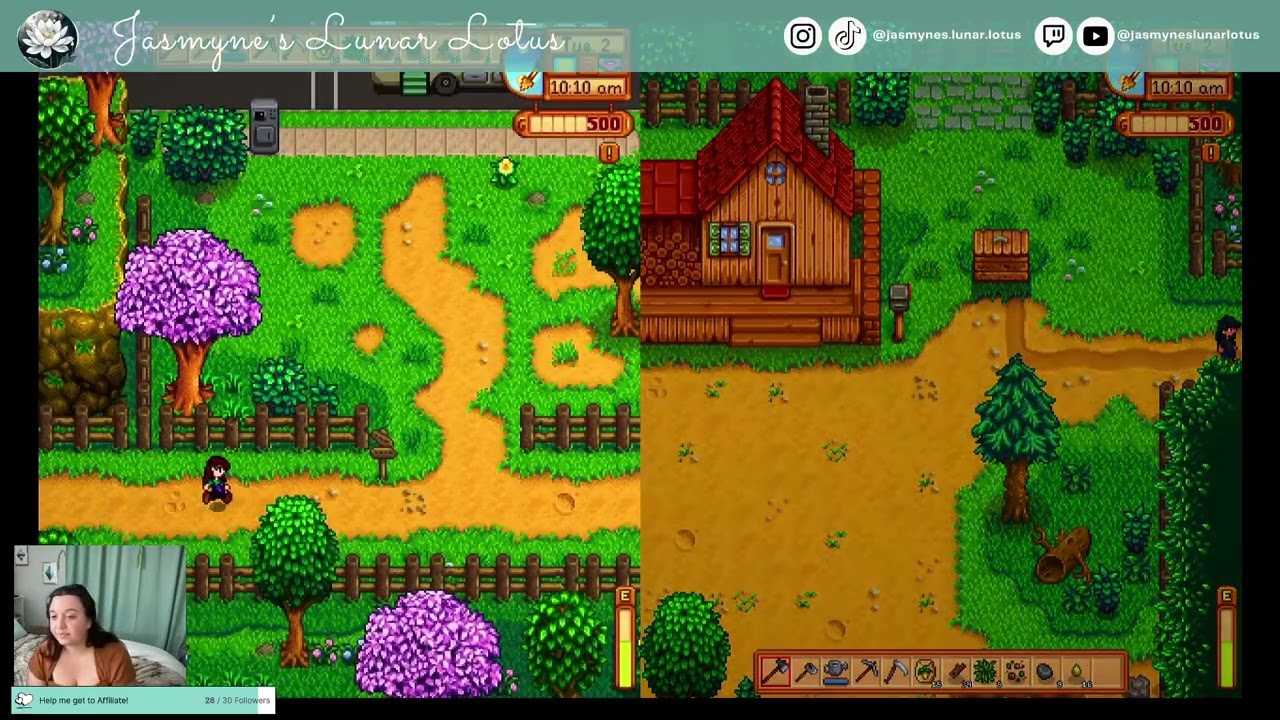 First time co-op Stardew Valley
