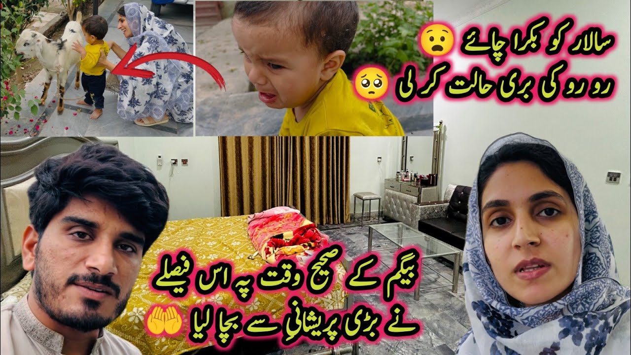 Begam K Sahi Wakt Pa Is Faislay Na Bari Preshani Say Bacha Lia 🥺| Salaar Ko Bakra Chaye😧