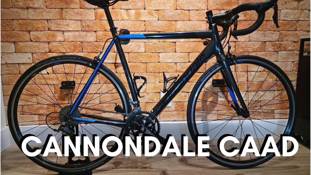 SPEED BARATA PARA COMEÇAR - CANNONDALE CAAD OPTIMO | CANAL BIKE CHEF