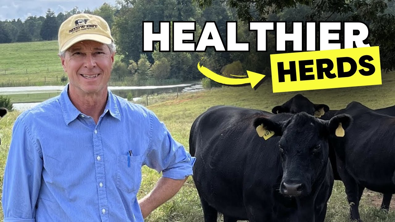 Dr. Mark Hilton: Keys to Cow-Calf Success