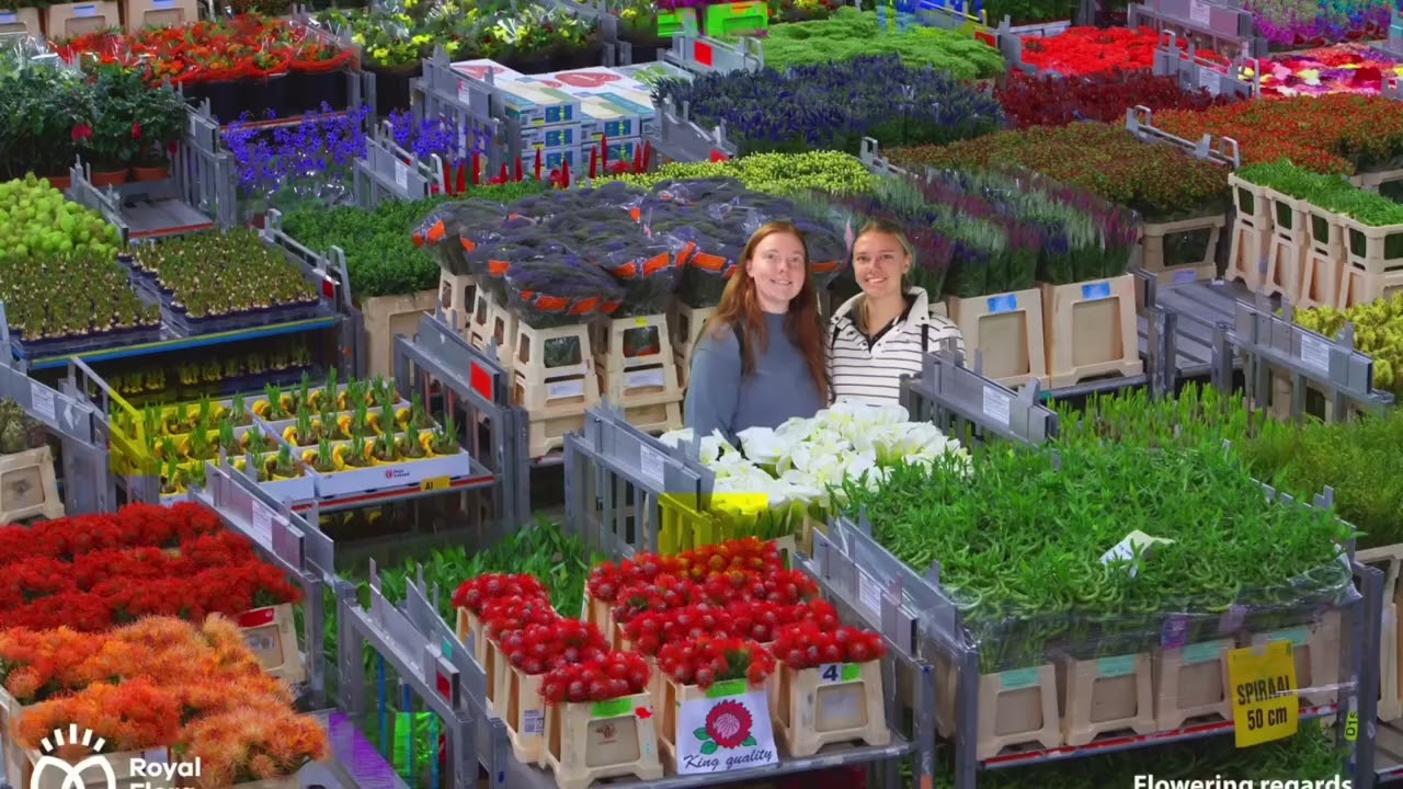 Myerscough College agriculture students enjoy Netherlands study tour