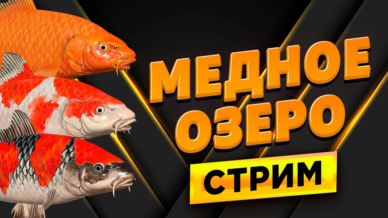 ПРОВЕРЯЕМ ПРЕКРАСНЫЙ ФАРМ СЕРЕБРА И РАЗДАЧУ КОИ НА МЕДНОМ ОЗЕРЕ! • СТРИМ • Русская Рыбалка 4 РР4