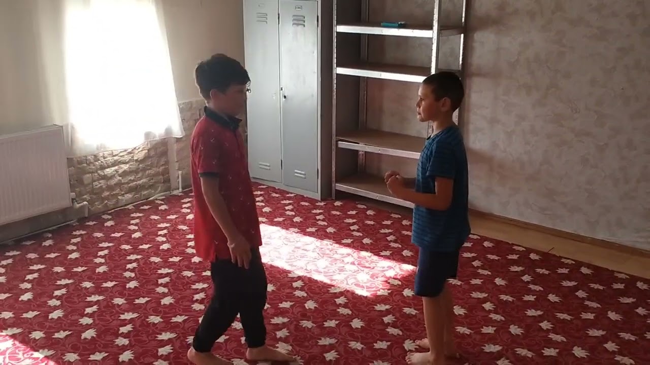 ce doi pureci se bat pe castravete partea a 2