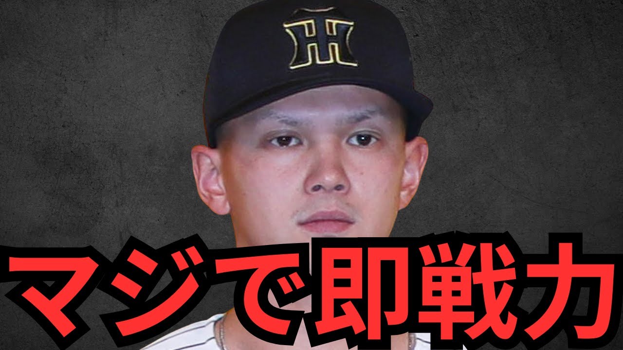 ドラ5能登がシート打撃で圧巻のデビュー！！球は勿論やけど、伏見のサインに首振ってたのが良かったわ！！立石の状況や藤川監督の揺るがない近本への信頼についても語りますわ！！！！！